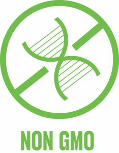 Trang chủ 11 gmo