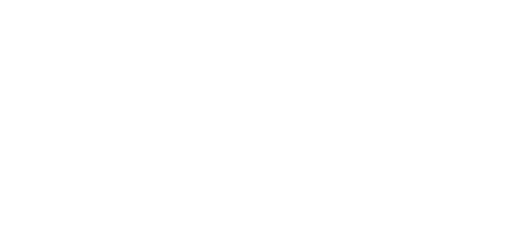 1vegan